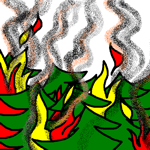 !forest fire