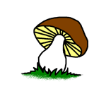 mushroom