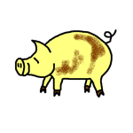 pig