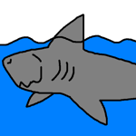 shark