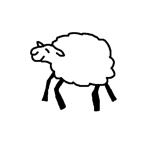 sheep