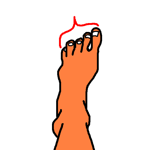 toes